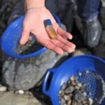 Serena Cottages - Minelab Panning Kit