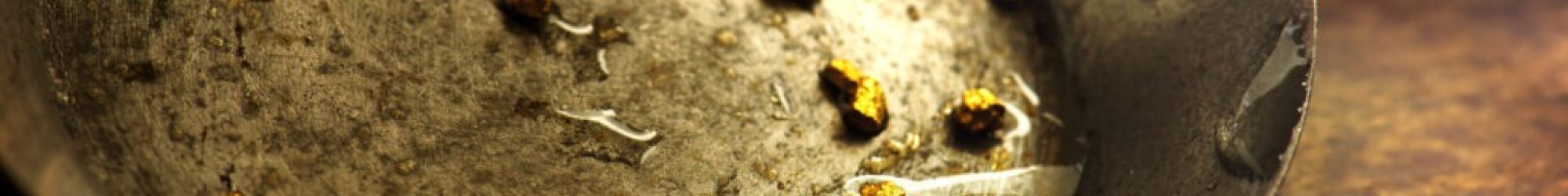 Gold Panning - Serena Cottages