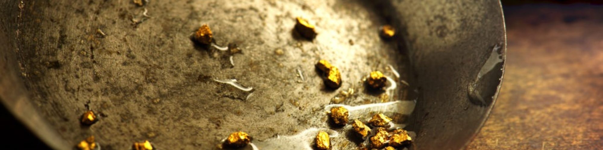 Gold Panning - Serena Cottages